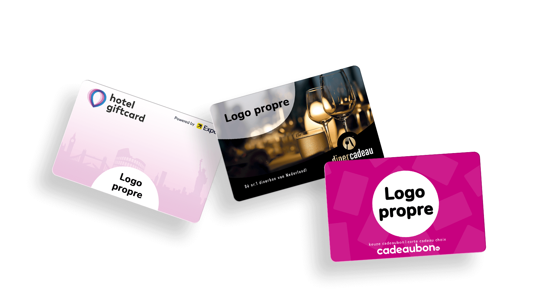 Possibilités professionnelles